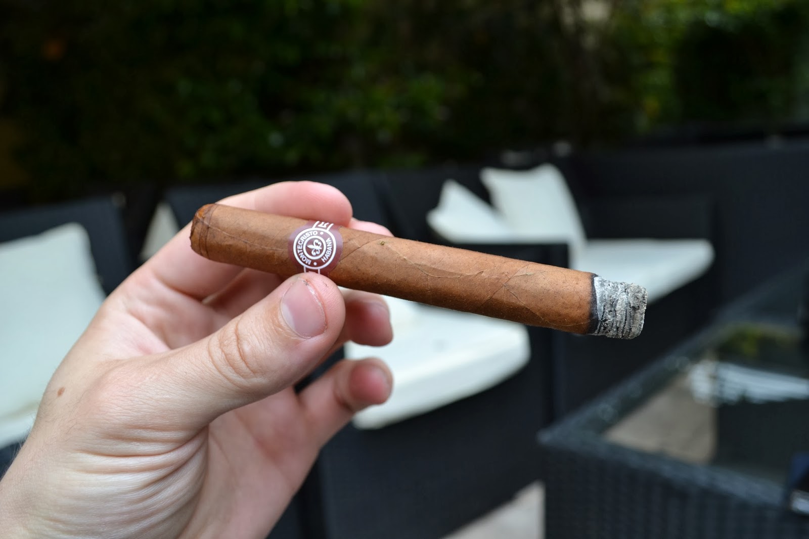 Mastering the Art of Cigar Pairing for Beginners